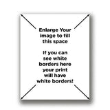 Home Decor - Upload Your Image/Photo - Custom Personalized Photo to Poster Printing - Create Your Own Wall Art Print - 11x14 inches
