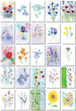 Debbie Shelkey-Lawson Water Color Flower Postcards