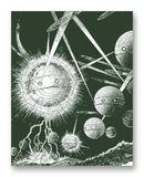 Jagged Beam of Flame 11" x 14" Mono Tone Print (Choose Your Color)