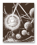 Jagged Beam of Flame 11" x 14" Mono Tone Print (Choose Your Color)