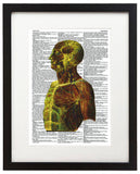 Psychedelic Anatomy 1 8.5"x11" Semi Translucent Dictionary Art Print
