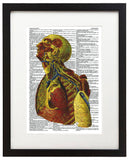 Psychedelic Anatomy 3 8.5"x11" Semi Translucent Dictionary Art Print