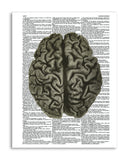 Gray Brain 8.5"x11" Semi Translucent Dictionary Art Print