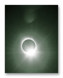 Great American Wedding Ring - 11" x 14" Mono Tone Print (Choose Your Color)