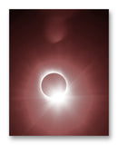 Great American Wedding Ring - 11" x 14" Mono Tone Print (Choose Your Color)