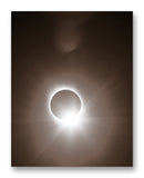 Great American Wedding Ring - 11" x 14" Mono Tone Print (Choose Your Color)