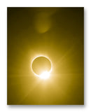 Great American Wedding Ring - 11" x 14" Mono Tone Print (Choose Your Color)