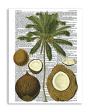 Vintage Botany 3 8.5"x11" Semi Translucent Dictionary Art Print