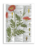 Vintage Botany 7 8.5"x11" Semi Translucent Dictionary Art Print