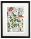 Vintage Botany 7 8.5"x11" Semi Translucent Dictionary Art Print