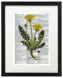 Vintage Botany 9 8.5"x11" Semi Translucent Dictionary Art Print