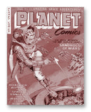 Planet Comics NO. 71 - 11" x 14" Mono Tone Print (Choose Your Color)