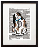 Alpha Set 1-D 8.5"x11" Semi Translucent Dictionary Art Print