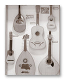 Plucked String Instruments No.1 - 11" x 14" Mono Tone Print (Choose Your Color)
