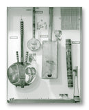 Plucked String Instruments No. 2 - 11" x 14" Mono Tone Print (Choose Your Color)