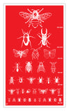 Red Insect Seeing Eye Chart 13”x22” Vintage Style Showprint Poster - Home Nostalgia Decor Wall Art Print - Kristy Joyce Artist Edition