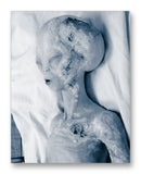 Roswell Alien - 11" x 14" Mono Tone Print (Choose Your Color)