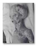 Roswell Alien - 11" x 14" Mono Tone Print (Choose Your Color)