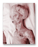 Roswell Alien - 11" x 14" Mono Tone Print (Choose Your Color)
