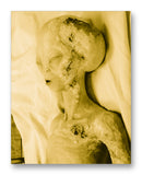 Roswell Alien - 11" x 14" Mono Tone Print (Choose Your Color)