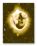 Laika the Space Dog Floating Near the Sun 11" x 14" Mono Tone Print (Choose Your Color)