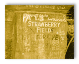 Strawberry Field Graffiti - 11" x 14" Mono Tone Print (Choose Your Color)