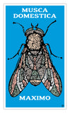 Musca Domestica Maximo 13”x22” Vintage Style Showprint Poster - Home Nostalgia Decor Wall Art Print - Kristy Joyce Artist Edition