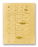 UFO Sightings Chart - 11" x 14" Mono Tone Print (Choose Your Color)