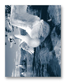 Swan 11" x 14" Mono Tone Print (Choose Your Color)