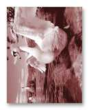Swan 11" x 14" Mono Tone Print (Choose Your Color)