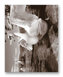 Swan 11" x 14" Mono Tone Print (Choose Your Color)
