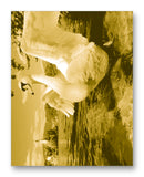 Swan 11" x 14" Mono Tone Print (Choose Your Color)