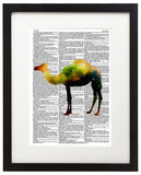 Cosmic Camel 8.5"x11" Semi Translucent Dictionary Art Print
