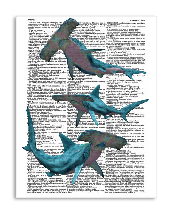 Hammerhead Sharks 8.5