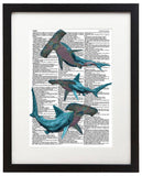 Hammerhead Sharks 8.5"x11" Semi Translucent Dictionary Art Print