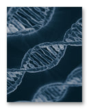 DNA Strands 11" x 14" Mono Tone Print (Choose Your Color)