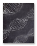 DNA Strands 11" x 14" Mono Tone Print (Choose Your Color)