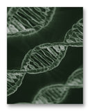 DNA Strands 11" x 14" Mono Tone Print (Choose Your Color)