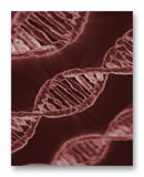 DNA Strands 11" x 14" Mono Tone Print (Choose Your Color)