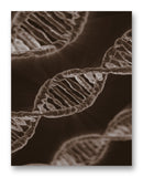 DNA Strands 11" x 14" Mono Tone Print (Choose Your Color)