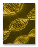 DNA Strands 11" x 14" Mono Tone Print (Choose Your Color)
