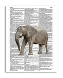 Elephant 8.5"x11" Semi Translucent Dictionary Art Print