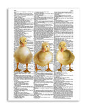 Ducklings 8.5"x11" Semi Translucent Dictionary Art Print