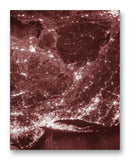 ISS View of NYC 11" x 14" Mono Tone Print (Choose Your Color)