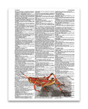 Red Grasshopper 8.5"x11" Semi Translucent Dictionary Art Print