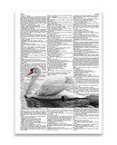 Swan 8.5"x11" Semi Translucent Dictionary Art Print
