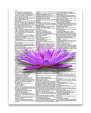 Water Lily 8.5"x11" Semi Translucent Dictionary Art Print