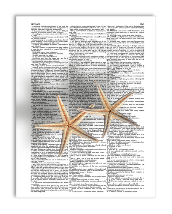 Starfish Pair 8.5