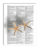 Starfish Pair 8.5"x11" Semi Translucent Dictionary Art Print