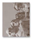Mount Rushmore Close Up 11" x 14" Mono Tone Print (Choose Your Color) - Jacob Andrew Dodge Artist Edition